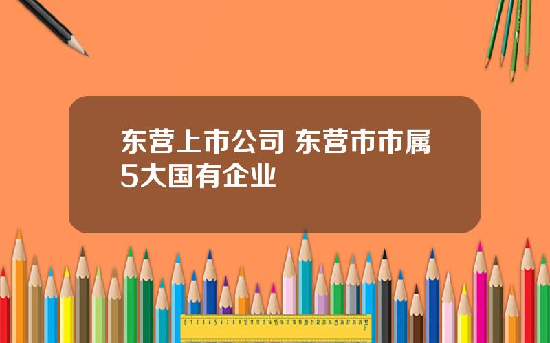 东营上市公司 东营市市属5大国有企业